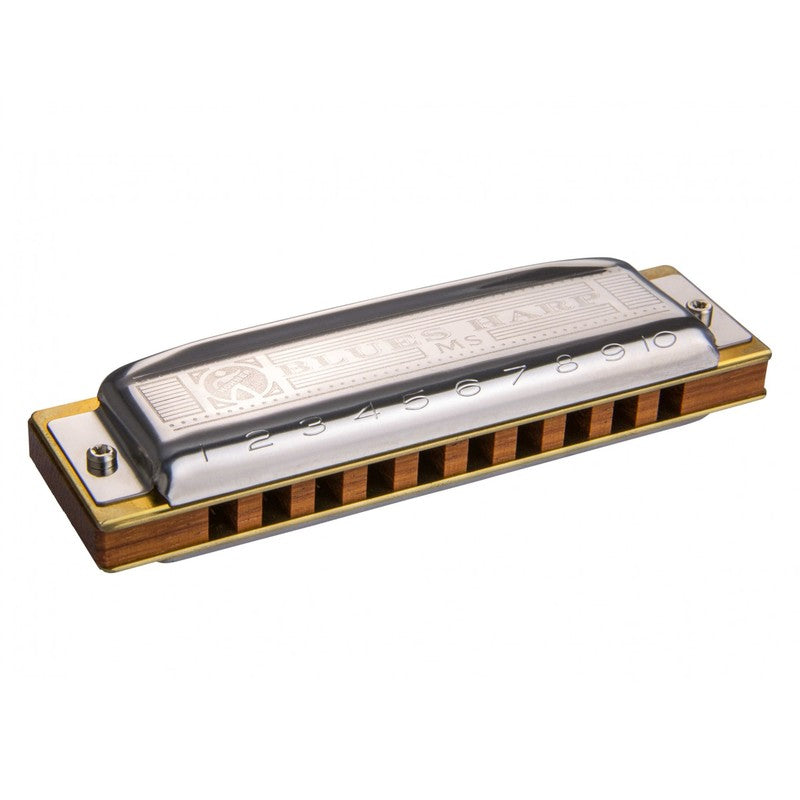 Hohner Blues Harp "D"