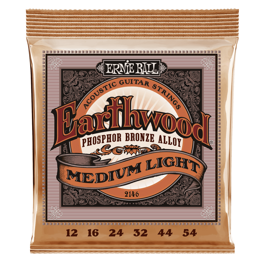 Ernie Ball Earthwood medium light 12-54